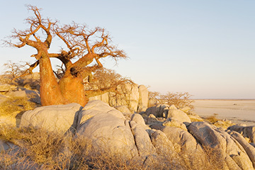 廣州到哈博羅內國際空運_廣州到哈博羅內空運公司