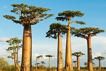 廣州到塔那那利佛國際空運_廣州到塔那那利佛空運公司