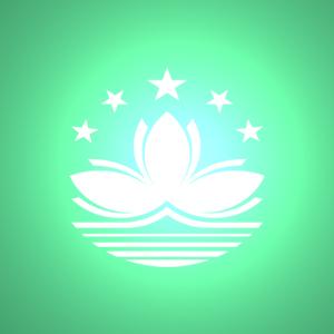 國內到澳門物流,國內至澳門貨運,國內物流到澳門