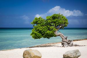 奧拉涅斯塔德（AWORA）港口代碼查詢-奧拉涅斯塔德（AWORA）港口簡(jiǎn)介