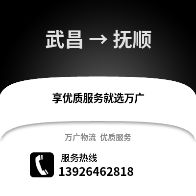 武漢武昌到撫順物流專線_武漢武昌到撫順貨運專線公司